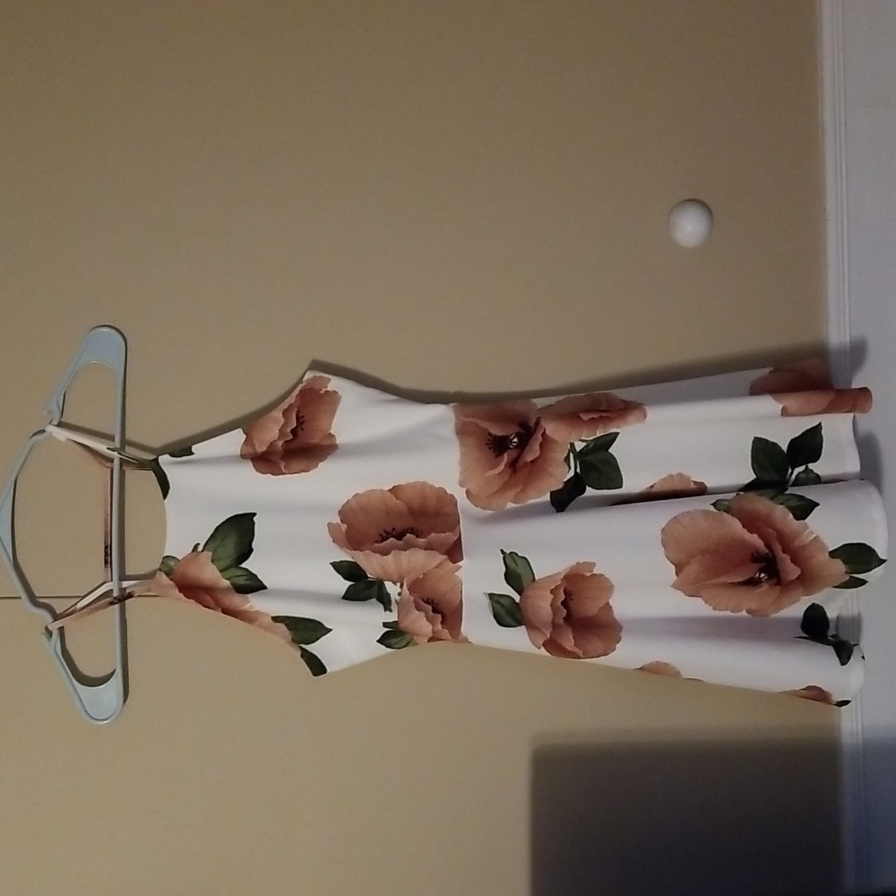 Women's Small Alter'd state dress.